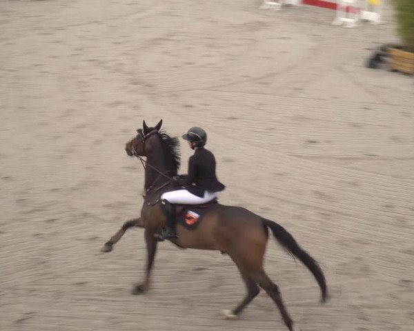 Reitturnier Monheim - Gut Blee 2023