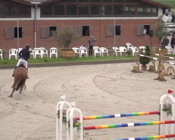 Reitturnier Monheim - Gut Blee 2023