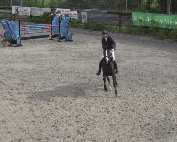 Reitturnier Monheim - Gut Blee 2023