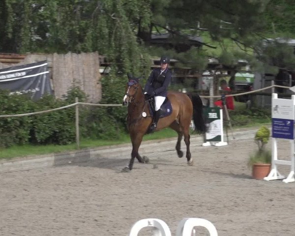 Reitturnier Monheim - Gut Blee 2023