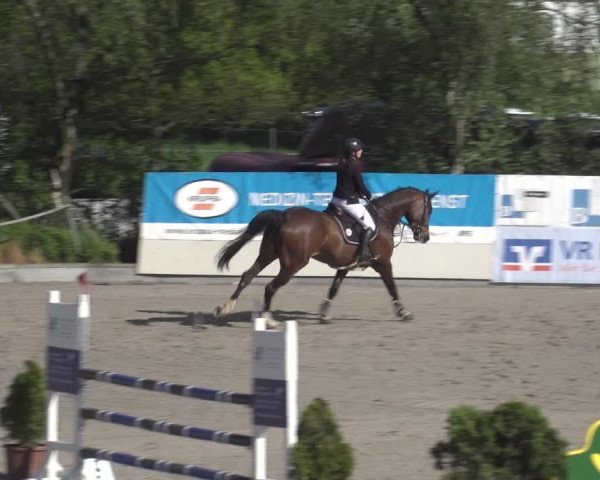 Reitturnier Monheim - Gut Blee 2023