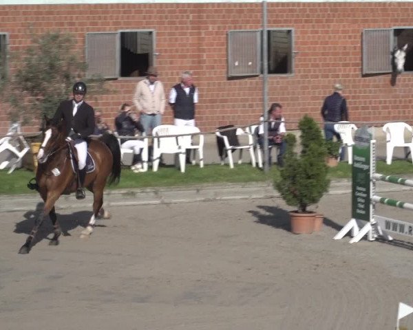 Reitturnier Monheim - Gut Blee 2023