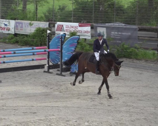 Reitturnier Monheim - Gut Blee 2023