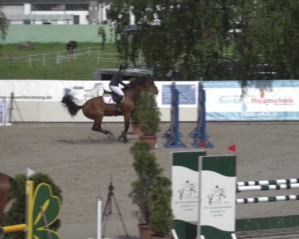 Reitturnier Monheim - Gut Blee 2023