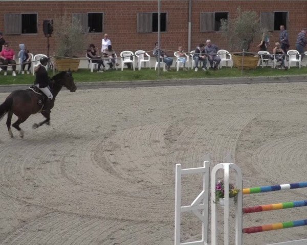 Reitturnier Monheim - Gut Blee 2023