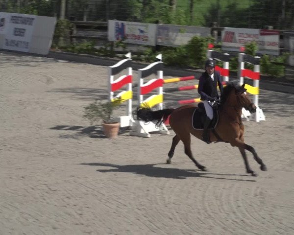 Reitturnier Monheim - Gut Blee 2023