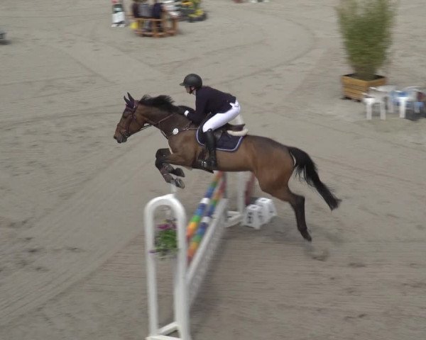 Reitturnier Monheim - Gut Blee 2023