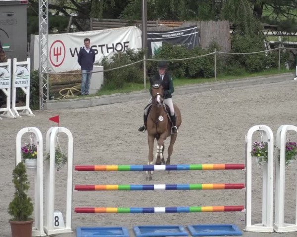 Reitturnier Monheim - Gut Blee 2023