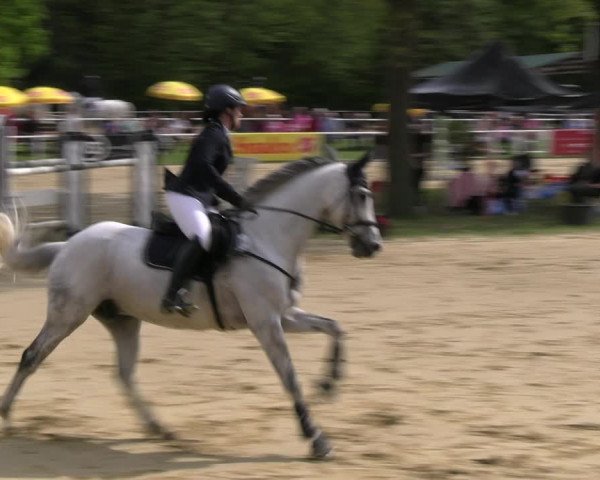Reitturnier Dinslaken-Hiesfeld 2023
