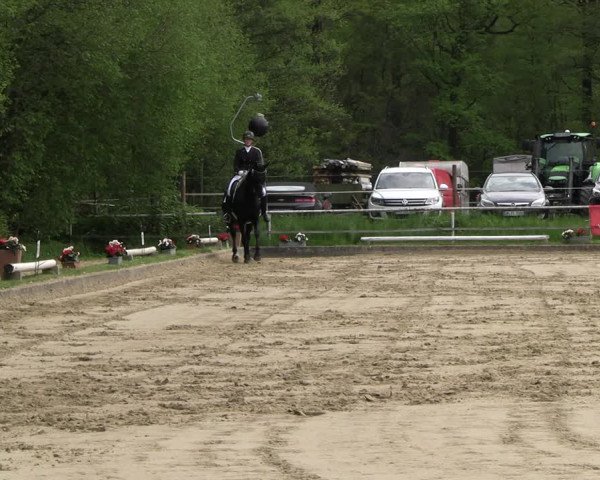 Reitturnier Dinslaken-Hiesfeld 2023