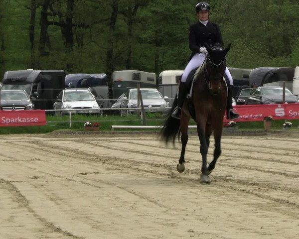 Reitturnier Dinslaken-Hiesfeld 2023