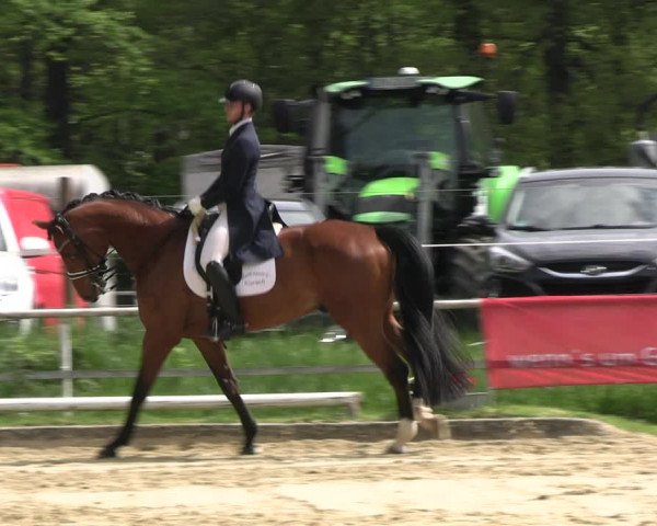 Reitturnier Dinslaken-Hiesfeld 2023