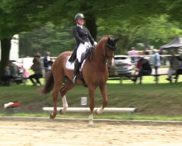 Reitturnier Dinslaken-Hiesfeld 2023