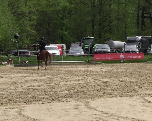Reitturnier Dinslaken-Hiesfeld 2023