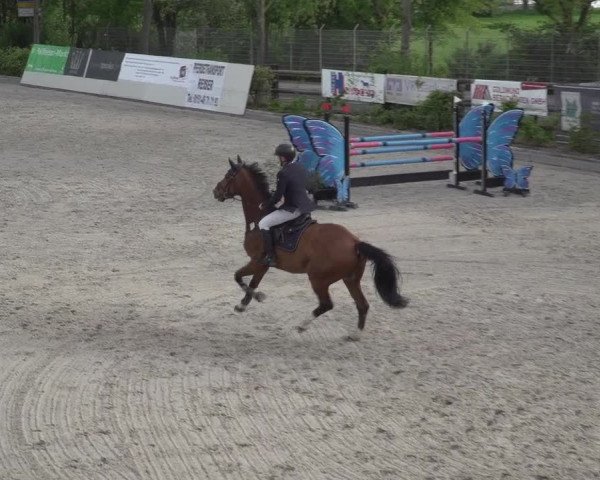 Reitturnier Monheim - Gut Blee 2023