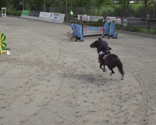 Reitturnier Monheim - Gut Blee 2023