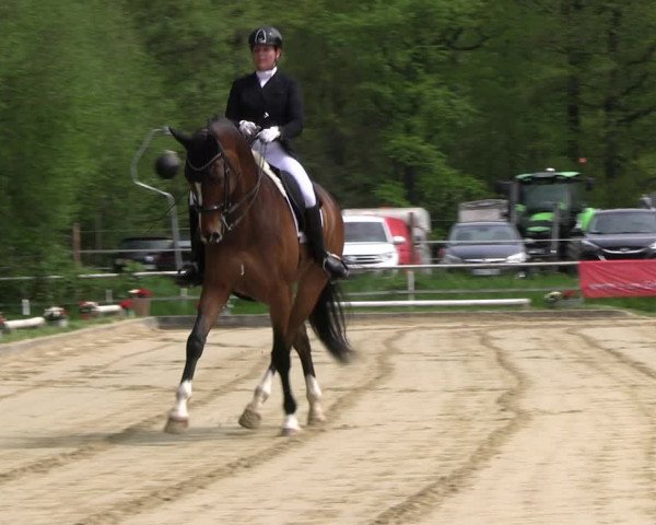 Reitturnier Dinslaken-Hiesfeld 2023