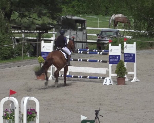 Reitturnier Monheim - Gut Blee 2023