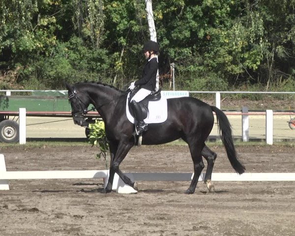 Reitturnier Forst 2021