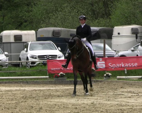 Reitturnier Dinslaken-Hiesfeld 2023