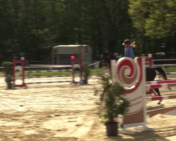 Reitturnier Dinslaken-Hiesfeld 2023