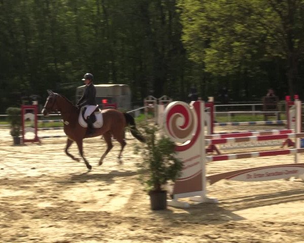 Reitturnier Dinslaken-Hiesfeld 2023