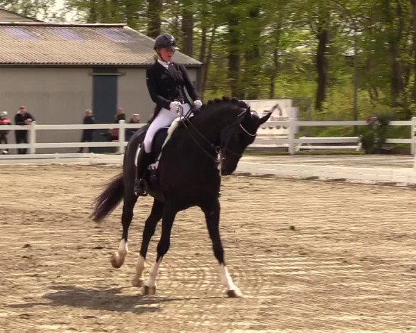 Reitturnier Dressurturnier Mildstedt 2023