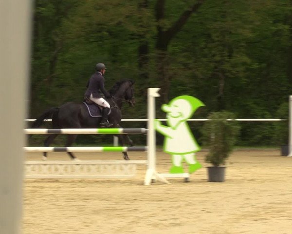 Reitturnier Dinslaken-Hiesfeld 2023