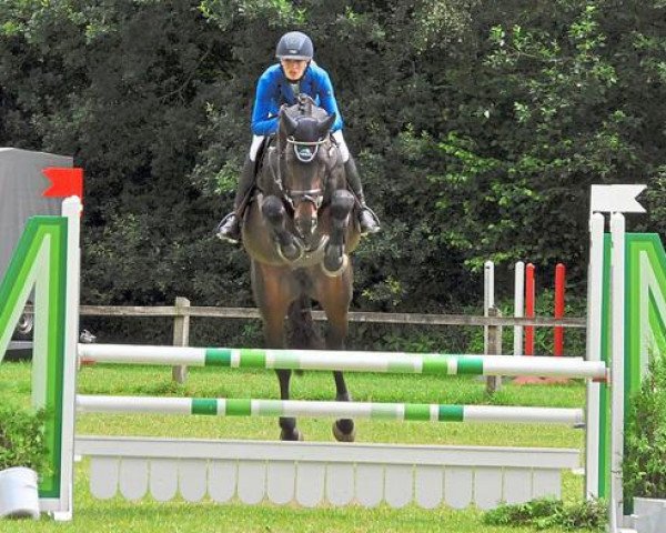 jumper Der Is Et (Westphalian, 2011, from Diarado)