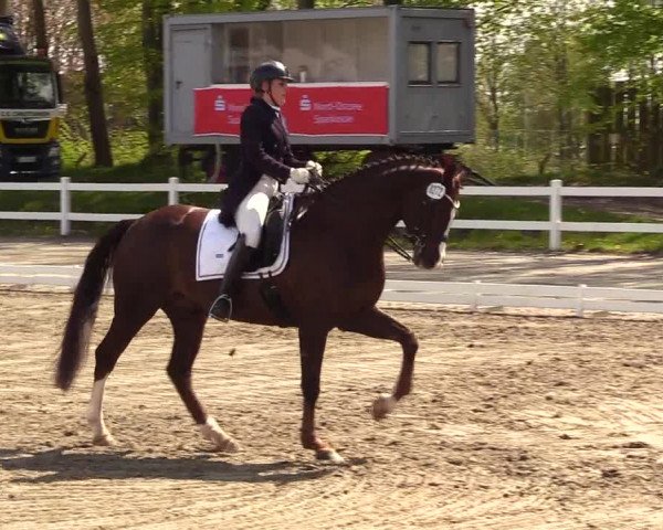 Reitturnier Dressurturnier Mildstedt 2023