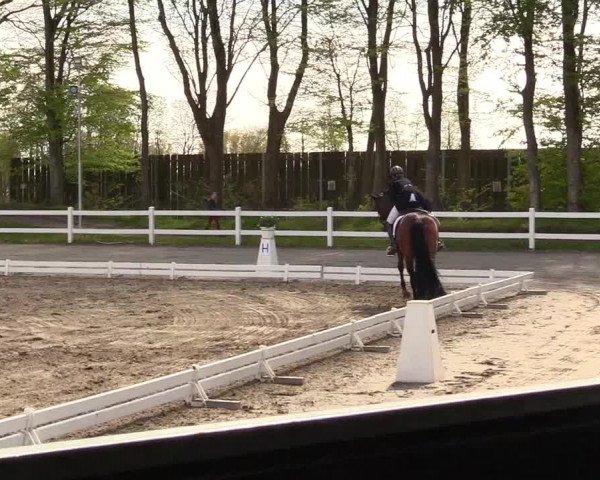 Reitturnier Dressurturnier Mildstedt 2023