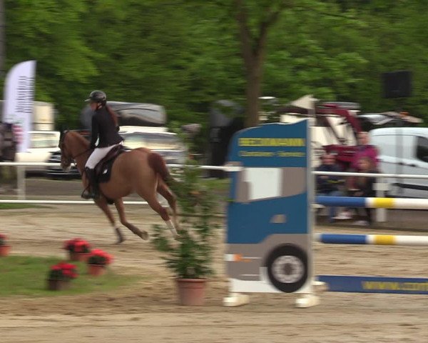 Reitturnier Dinslaken-Hiesfeld 2023
