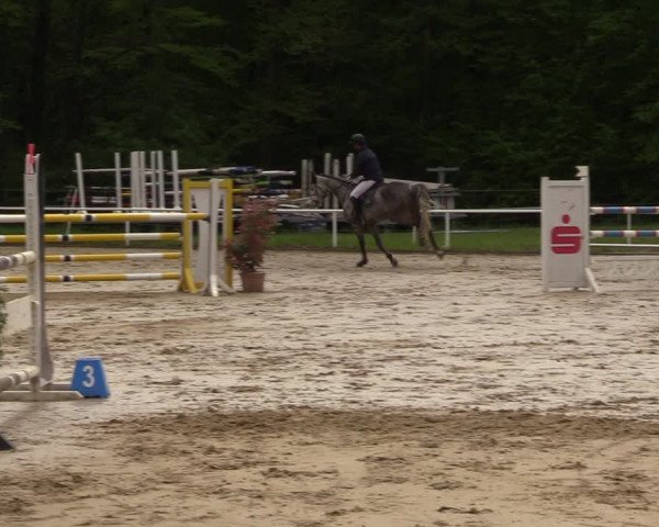 Reitturnier Dinslaken-Hiesfeld 2023