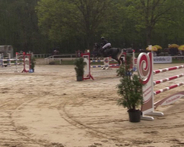 Reitturnier Dinslaken-Hiesfeld 2023
