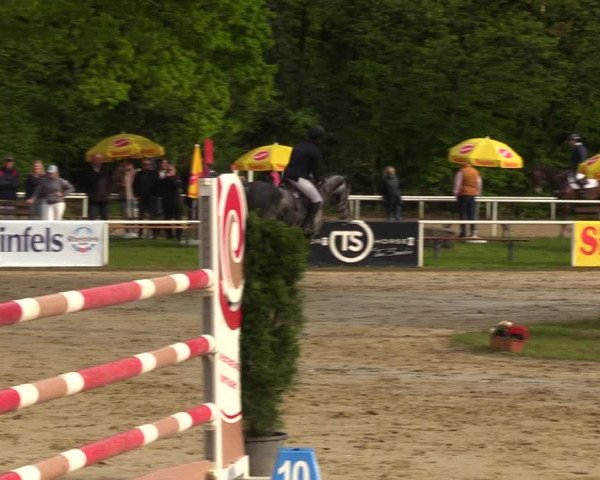 Reitturnier Dinslaken-Hiesfeld 2023