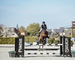 jumper Josee de Wemmel (Belgium Sporthorse, 2015, from Vigo d'Arsouilles)