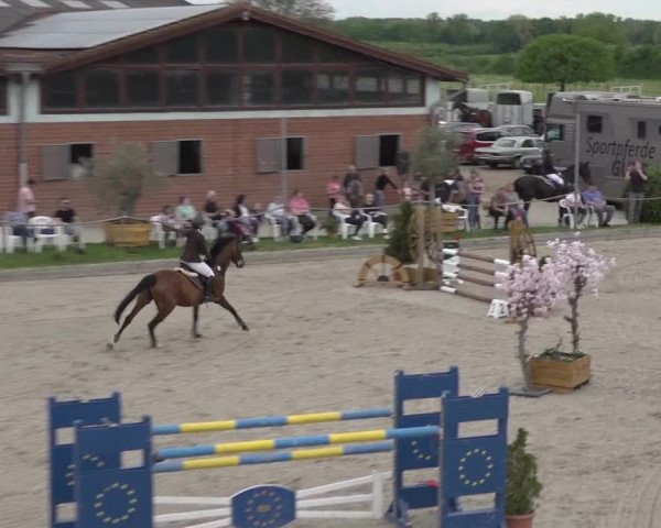Reitturnier Monheim - Gut Blee 2023