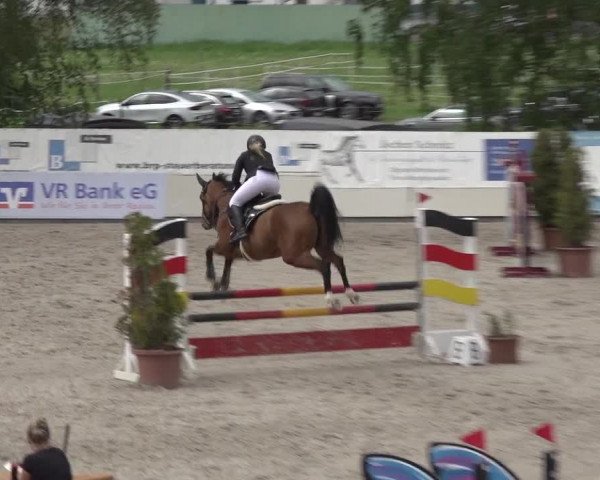 Reitturnier Monheim - Gut Blee 2023