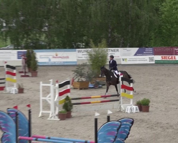 Reitturnier Monheim - Gut Blee 2023