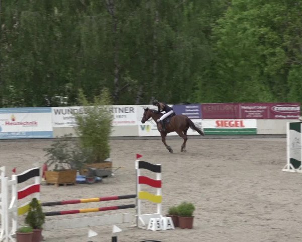 Reitturnier Monheim - Gut Blee 2023