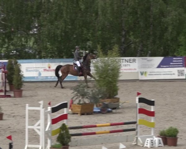 Reitturnier Monheim - Gut Blee 2023