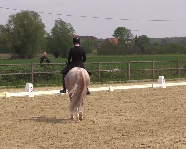 Reitturnier Warendorf 2023