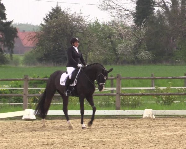 Reitturnier Warendorf 2023
