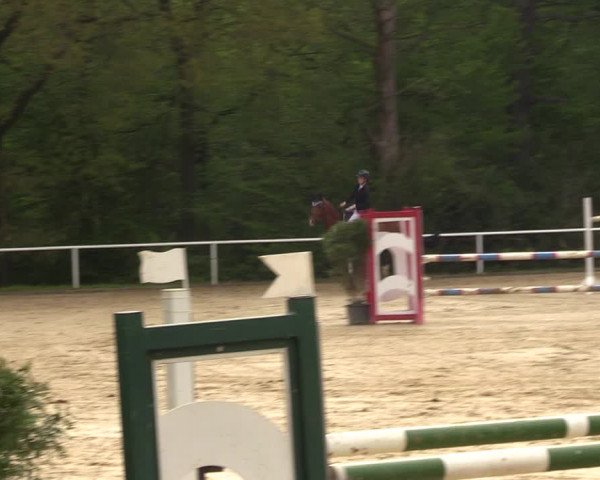 Reitturnier Dinslaken-Hiesfeld 2023