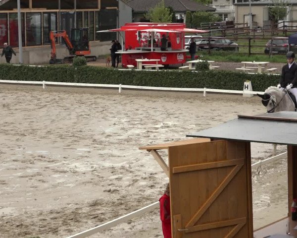 Reitturnier Bornheim Widdig 2023