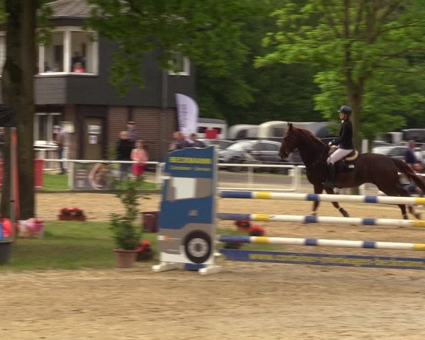 Reitturnier Dinslaken-Hiesfeld 2023