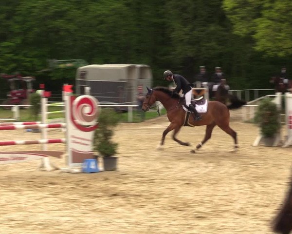 Reitturnier Dinslaken-Hiesfeld 2023