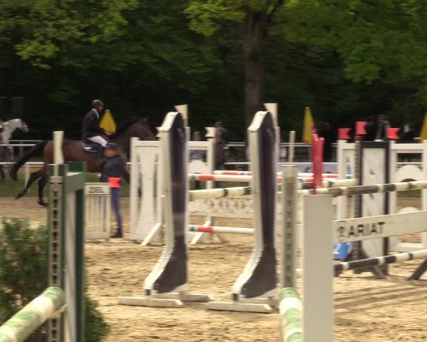Reitturnier Dinslaken-Hiesfeld 2023