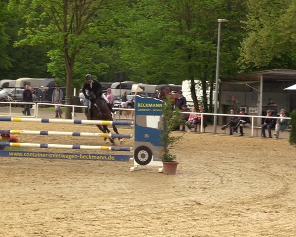 Reitturnier Dinslaken-Hiesfeld 2023