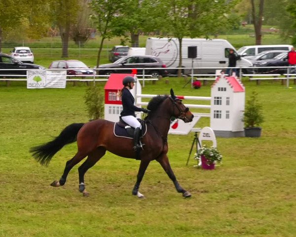 Reitturnier Wahlitz 2023